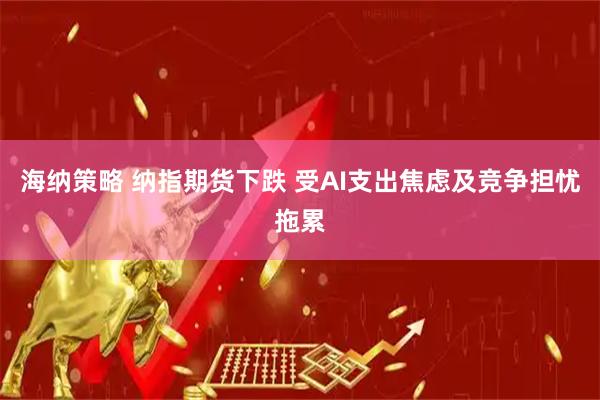 海纳策略 纳指期货下跌 受AI支出焦虑及竞争担忧拖累