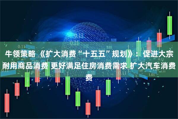 牛领策略 《扩大消费“十五五”规划》：促进大宗耐用商品消费 更好满足住房消费需求 扩大汽车消费