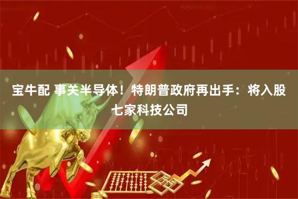 宝牛配 事关半导体！特朗普政府再出手：将入股七家科技公司