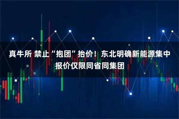 真牛所 禁止“抱团”抬价！东北明确新能源集中报价仅限同省同集团